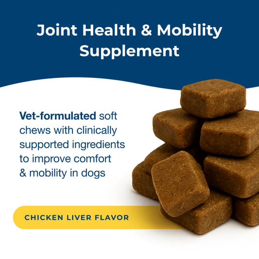 Dyne Joint Health & Mobility