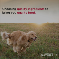 Diamond Naturals Skin & Coat