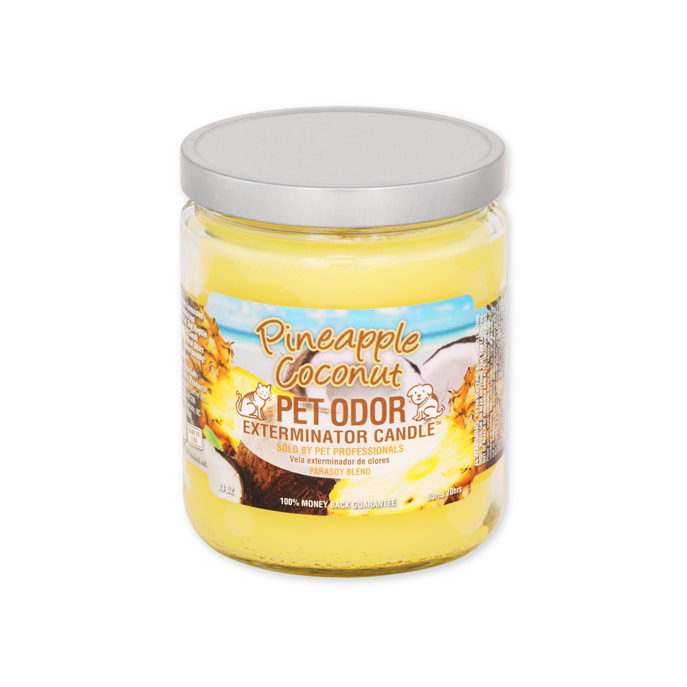 Pineapple Coconut Pet Odor Exterminator Candle