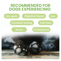 Under the Weather Ready Balance Probiotic Gel