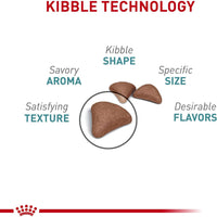 Royal Canin Hairball Care Dry Cat Food