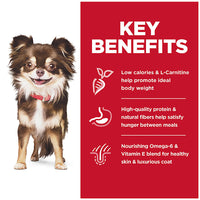 Scient Diet Sensitive Stomach & Skin