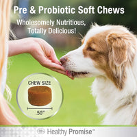Healthy Promise Pre & Probiotic