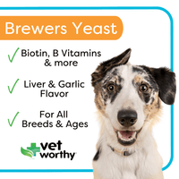 VW Brewers Yeast