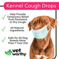 VW Kennel Cough Drops