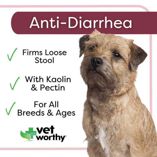 VW Anti-Diarrhea
