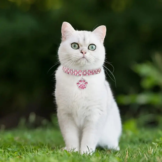 Collar Rhinestone