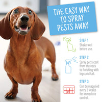 Adams Plus Flea & Tick Spray