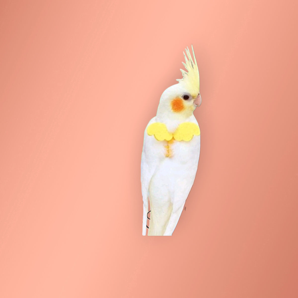 Arnes Aves