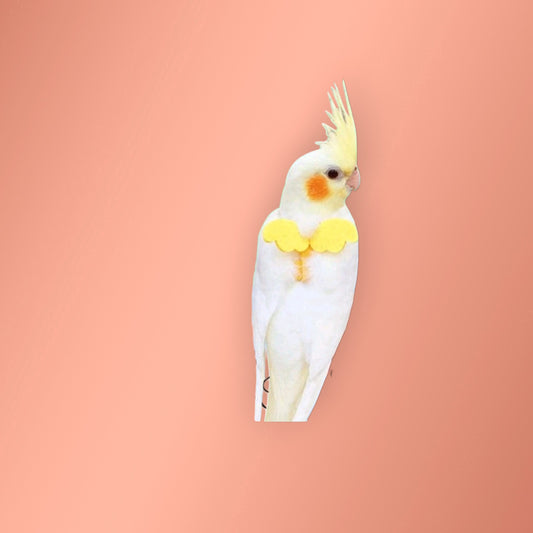 Arnes Aves