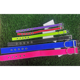 Collar Nylon