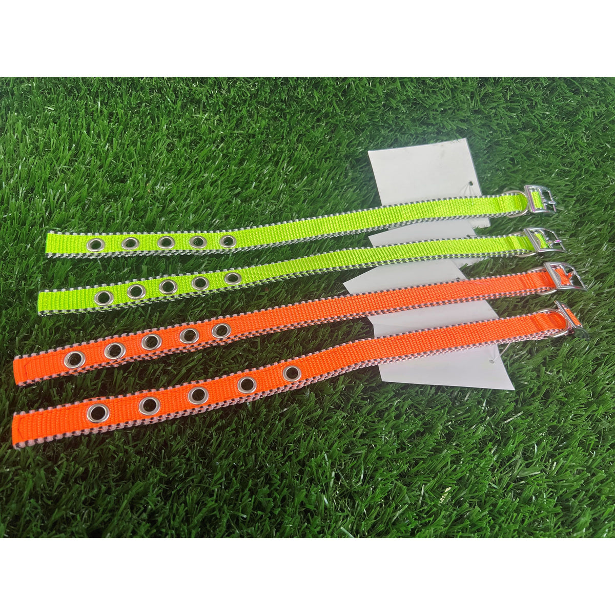 Collar Nylon