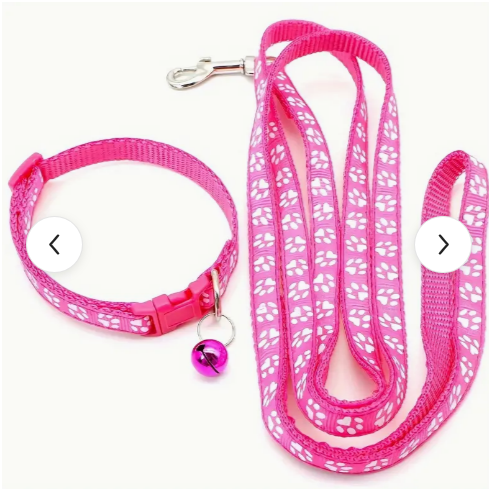 Set de Collar y Correa