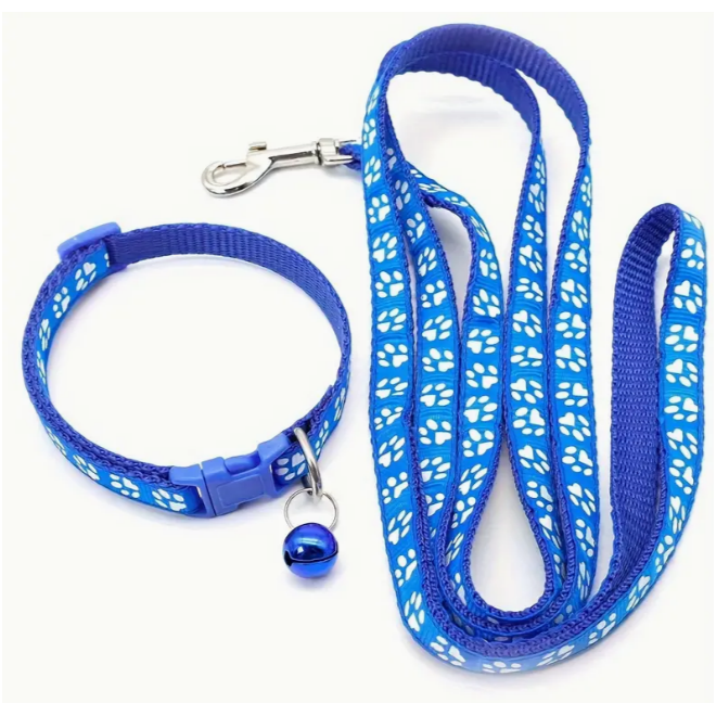 Set de Collar y Correa