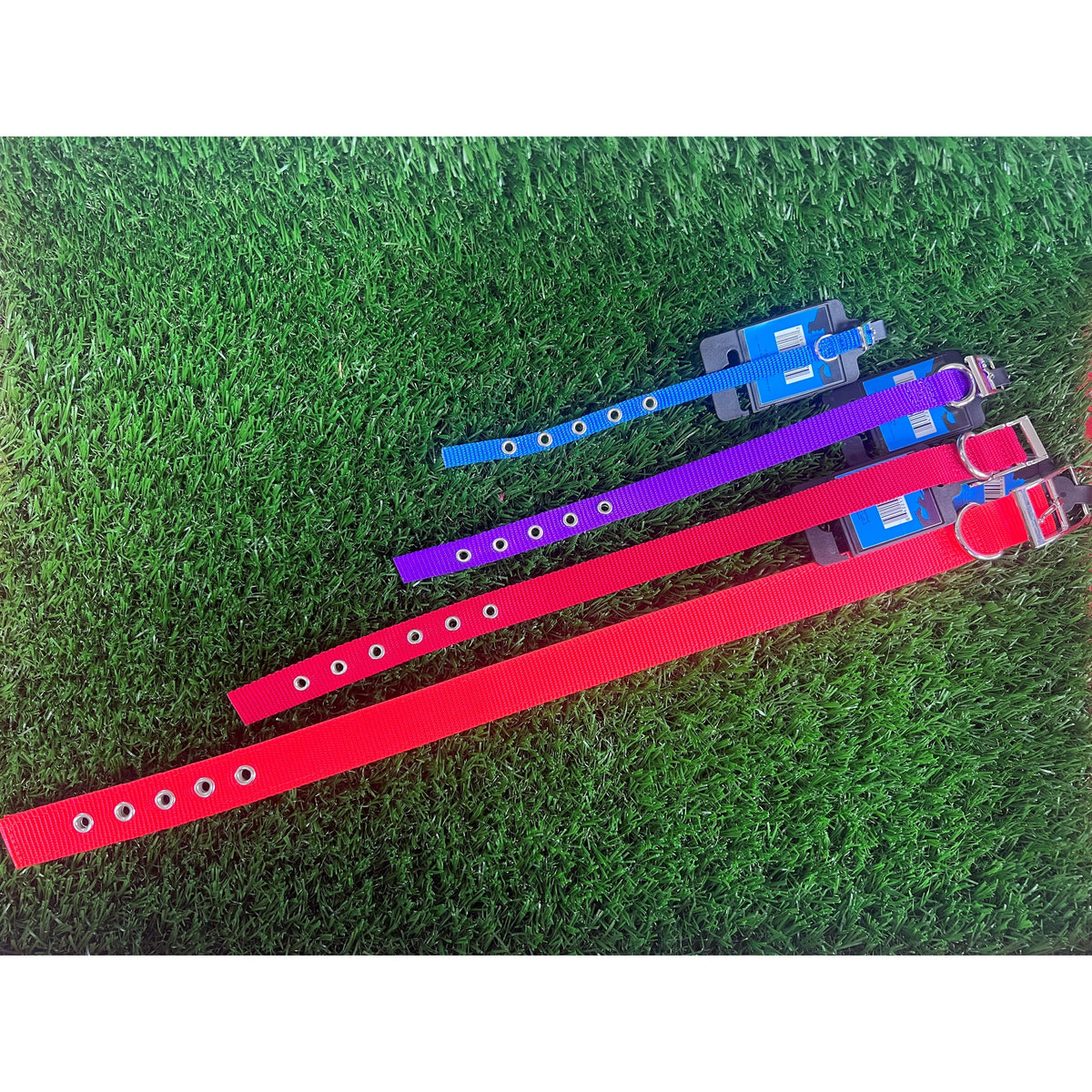 Collar de Nylon