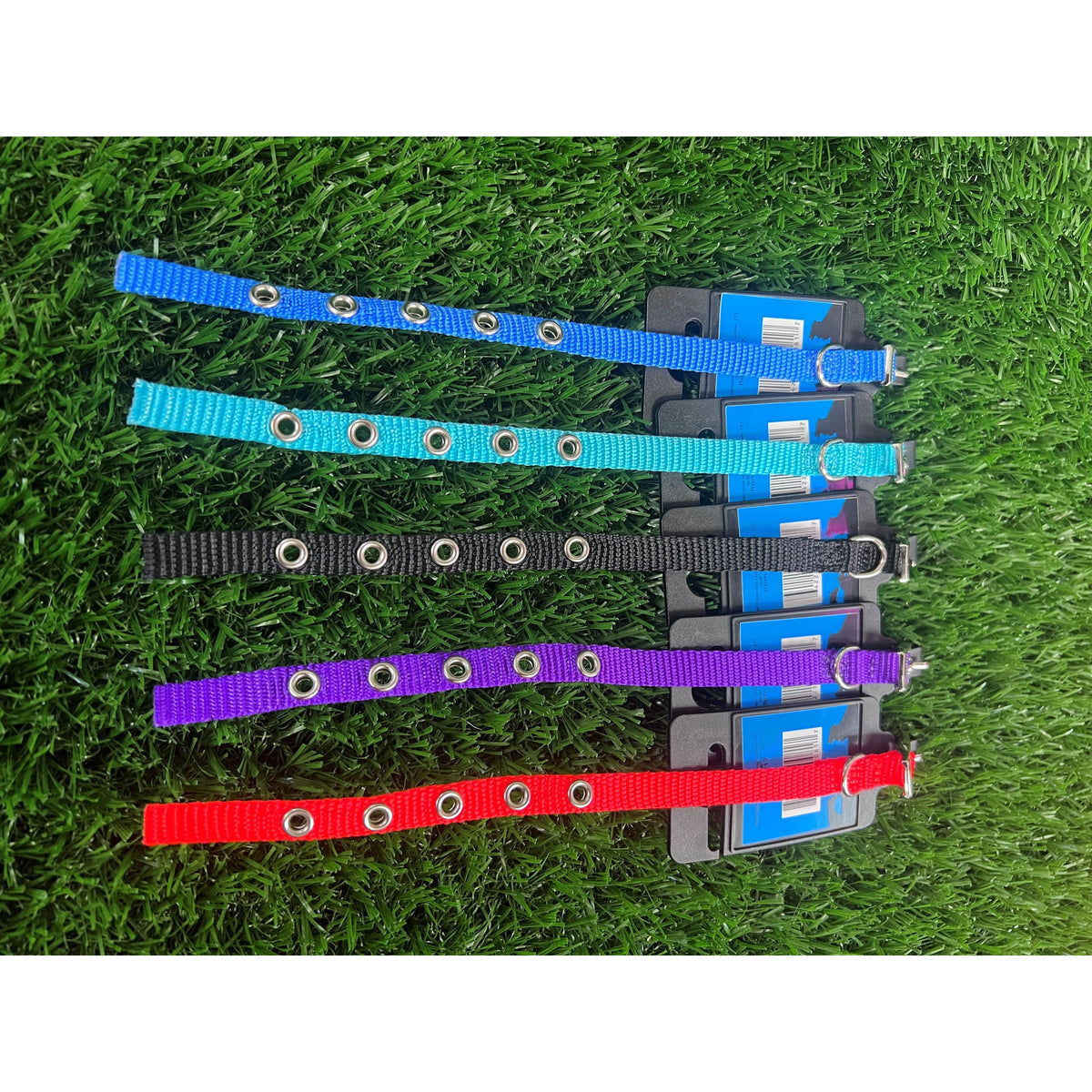 Collar de Nylon