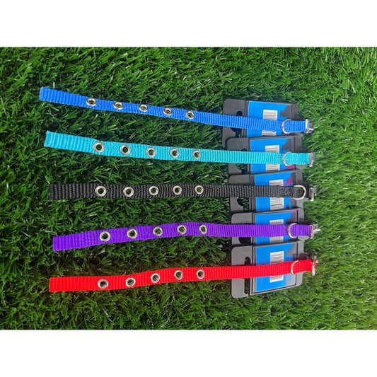 Collar de Nylon