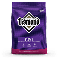 DIAMOND PUPPY