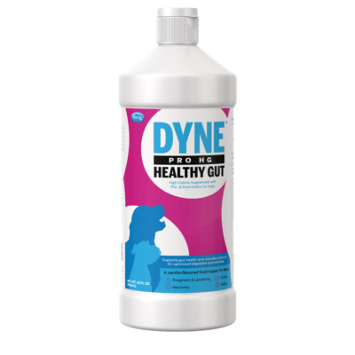 Dyne PRO HG Healthy Gut for Dogs & Puppies 16oz