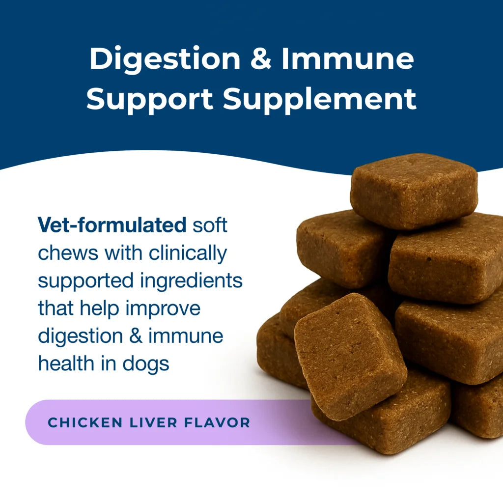 Dyne® Digestion & Immune Support