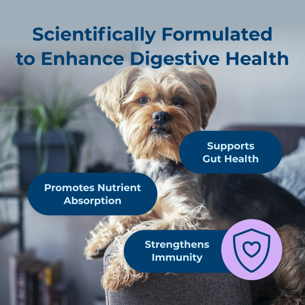 Dyne® Digestion & Immune Support