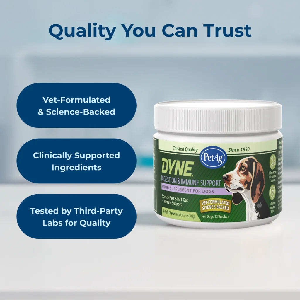 Dyne® Digestion & Immune Support