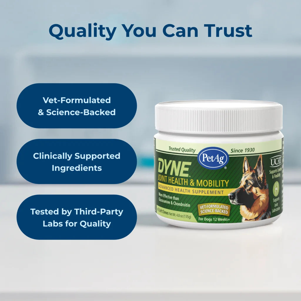 Dyne Joint Health & Mobility