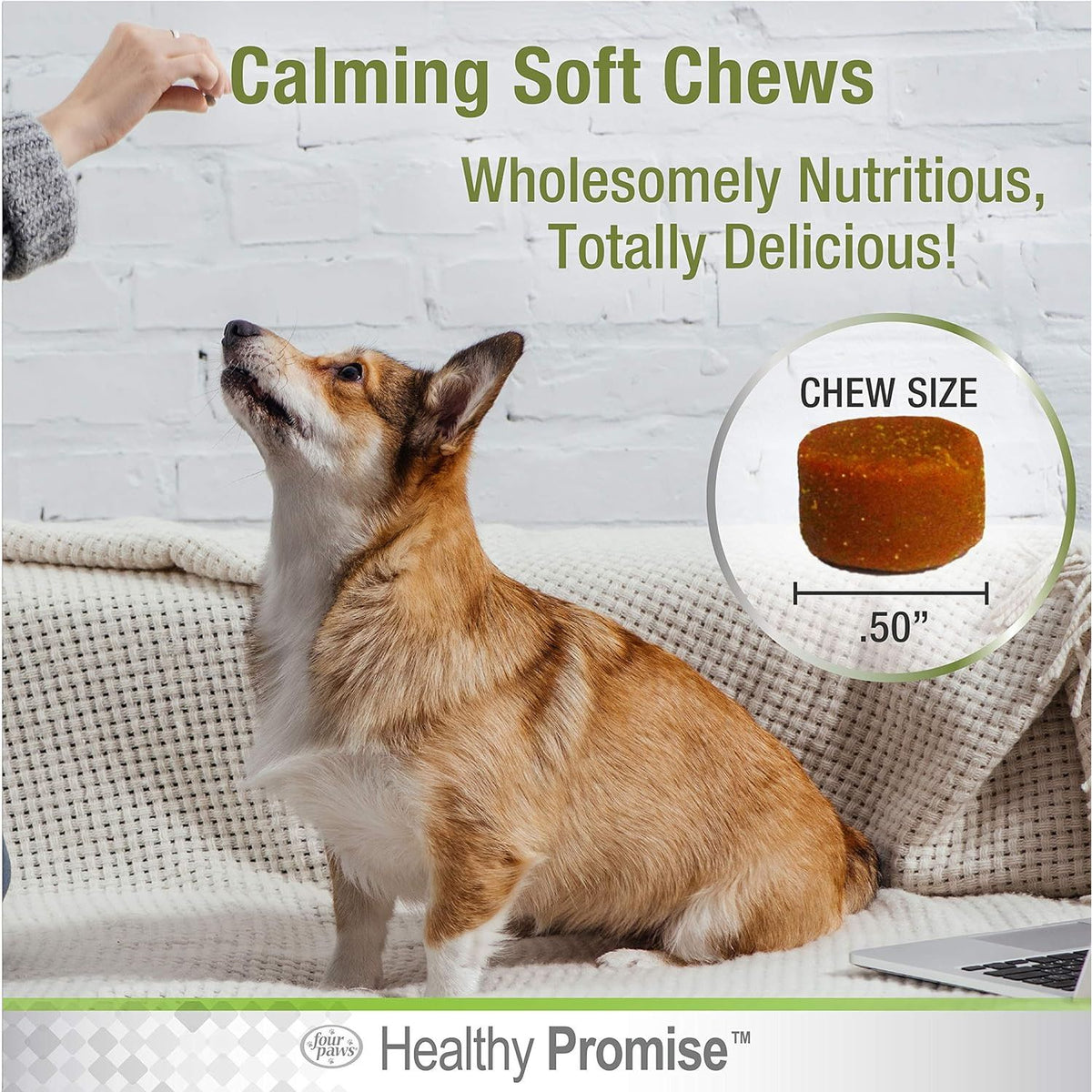 Healthy Promise Dog Calming 90 Soft Chews