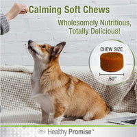 Healthy Promise Dog Calming 90 Soft Chews