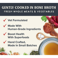 Holistic Health Extension Chicken & Pumpkin