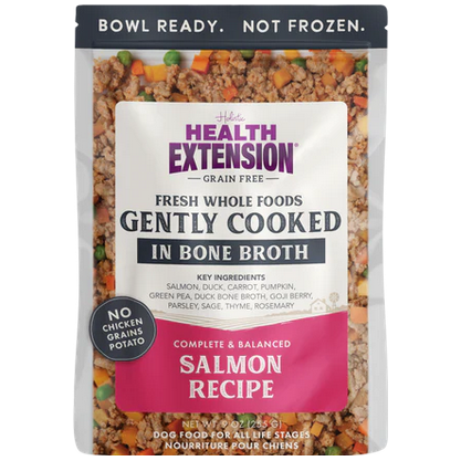 Holistic Health Extension Salmon