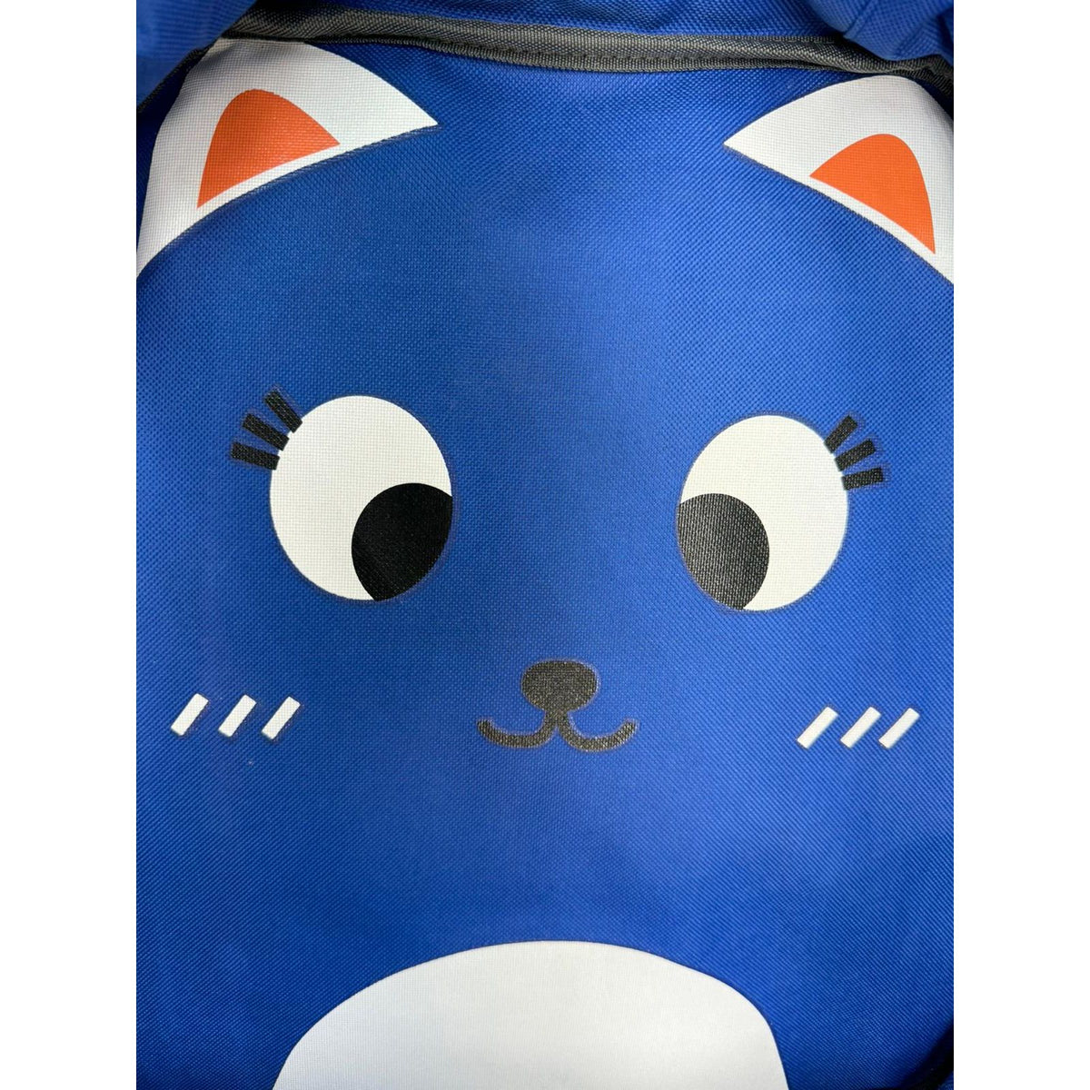 Bulto Mochila