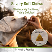 Healthy Promise Dog Multi-Vitamin Supplements