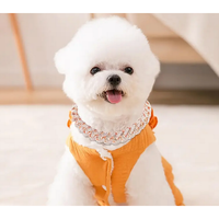 Collar Rhinestone