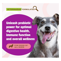 Pet Naturals Daily Probiotic for Dogs