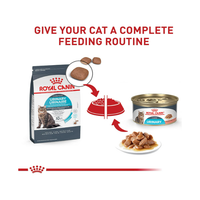 Royal Canin Feline Care Nutrition Urinary