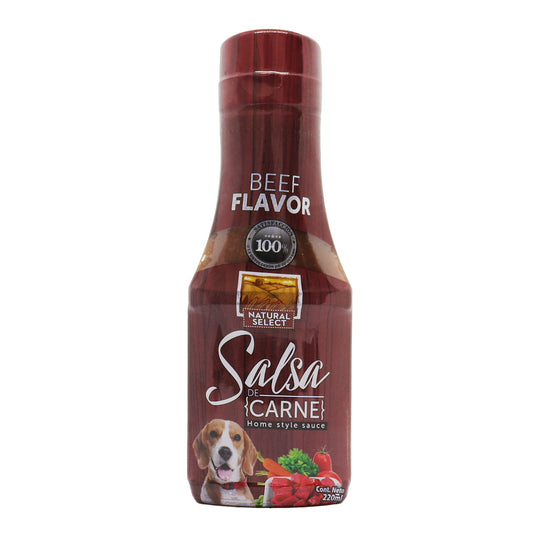 Salsa de Carne