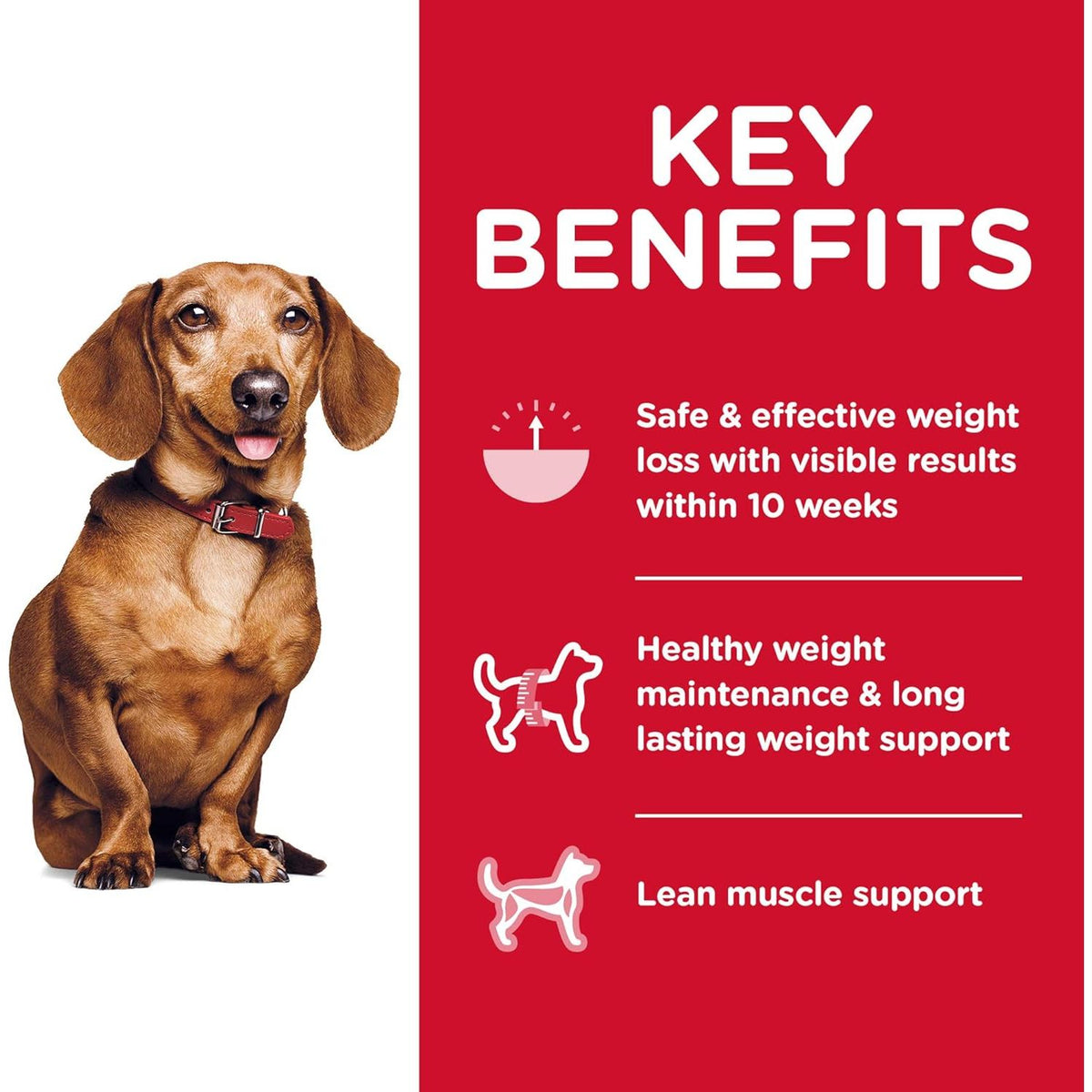 Scient Diet Perfect Weight Small & Mini Adult