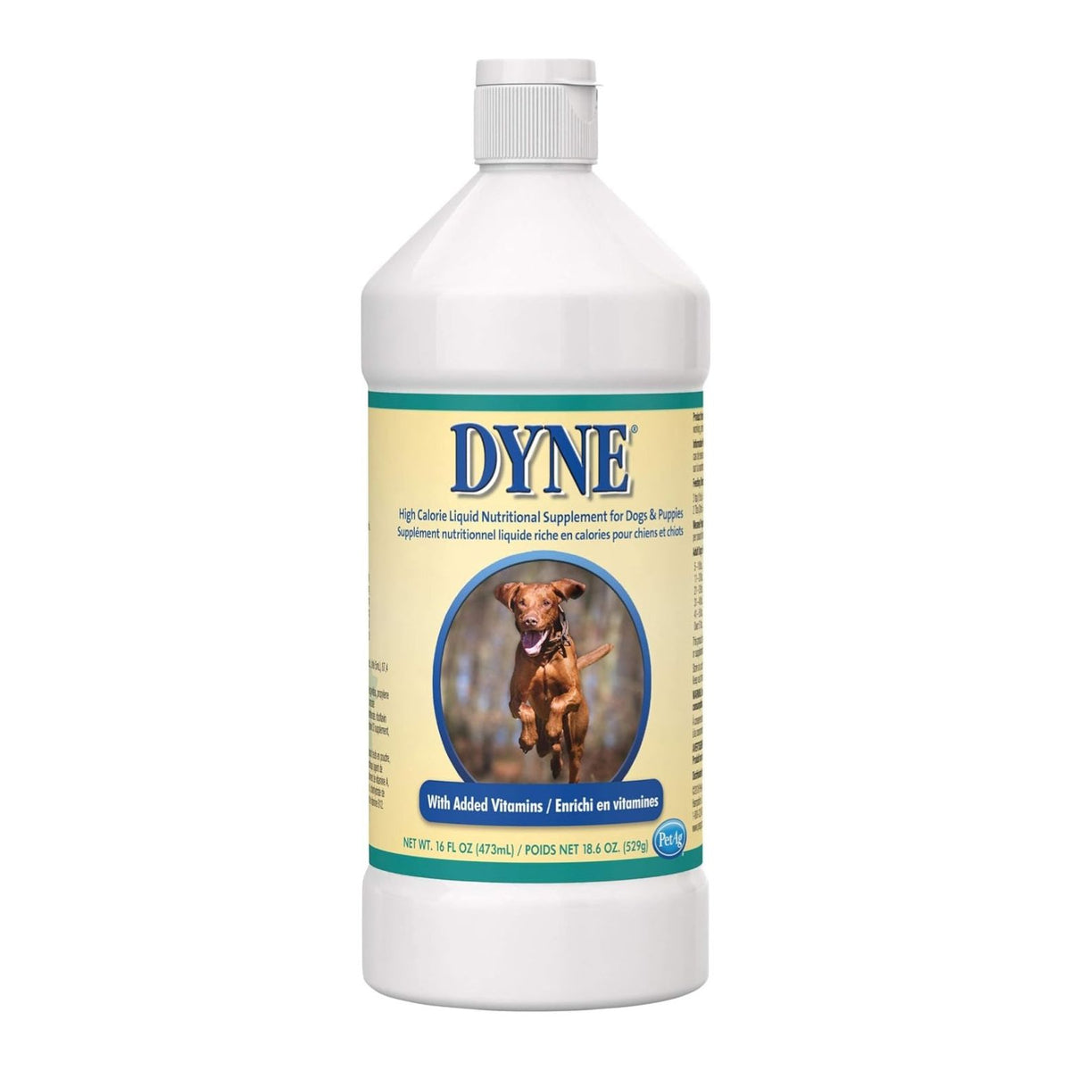 Dyne 16 oz
