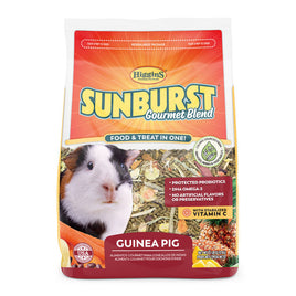 Higgins Sunburst Guinea Pig