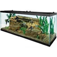 Tetra Fish Tank 55 galons