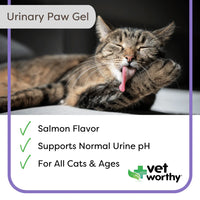 Vet Worthy Urinary Paw Gel